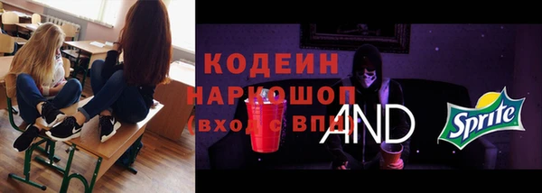 хмурый Абаза