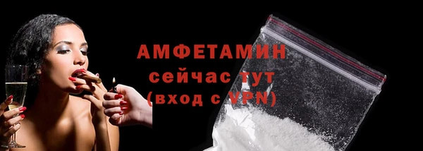 хмурый Абаза