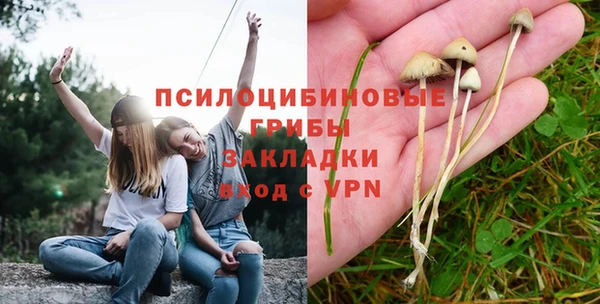мескалин Алексеевка