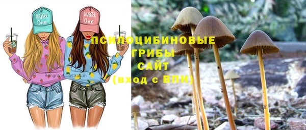 дурь Алзамай