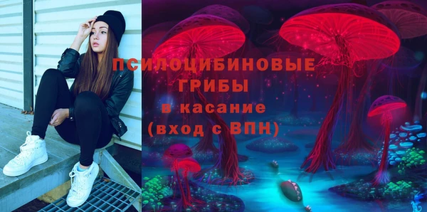 хмурый Абаза