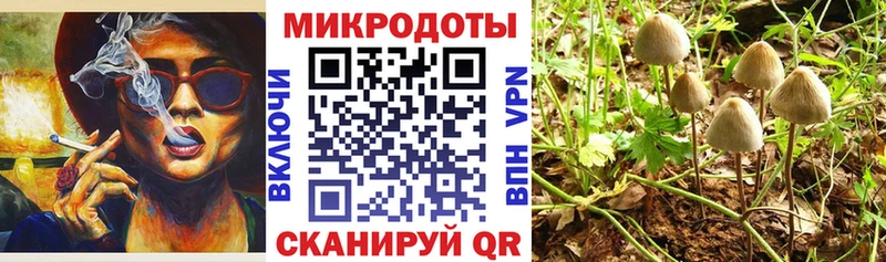 где купить наркоту  Ковров  blacksprut ССЫЛКА  Галлюциногенные грибы Magic Shrooms 