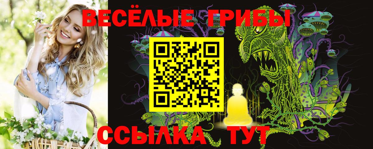 Ковров  закладка  Вход с VPN  Псилоцибиновые грибы Magic Shrooms 
